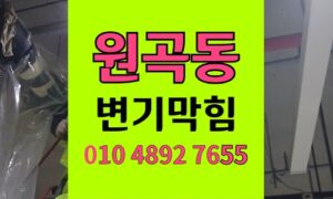 원곡동 변기막힘  붙임머리 유입되어 역류 무손상 구출