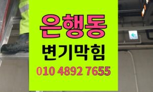 은행동 변기막힘 변기에 한약재 건더기 역류