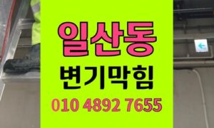일산동변기막힘 전동칫솔 헤드 유입 배관내시경 석션뚫음