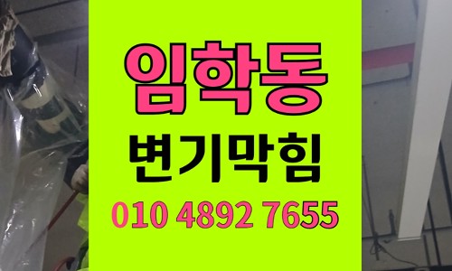 임학동 변기막힘 역류 배관내시경 검사 정밀 진단