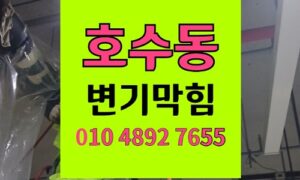 호수동 변기막힘 오수관막힘 쿠션 퍼프 빼기