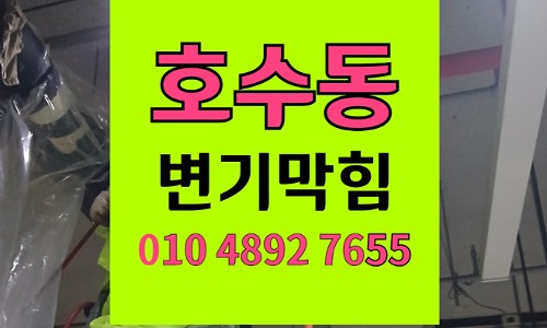 호수동 변기막힘 오수관막힘 쿠션 퍼프 빼기