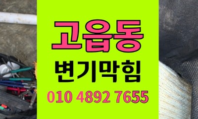 양주 고읍동 변기막힘 이쑤시개 변기역류 야간 해결