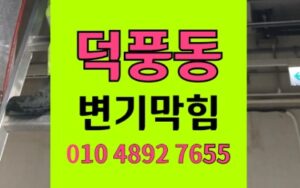 하남 덕풍동 변기막힘 과일씨앗 역류 배관내시경