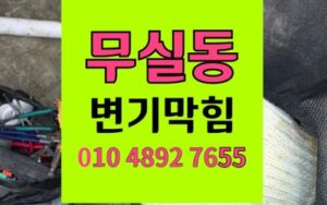 무실동 변기막힘 메인관 역류 야간 출동