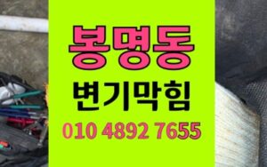 봉명동 변기막힘 전동 칫솔 구출 역류
