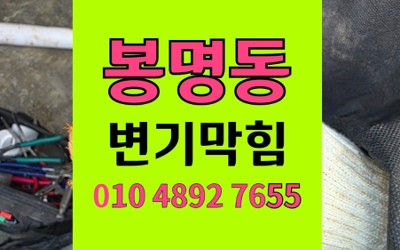 봉명동 변기막힘 전동 칫솔 구출 역류