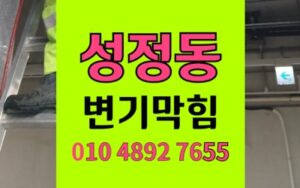 서북구 성정동 변기막힘 플라스틱 주걱 역류 내시경