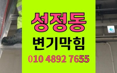 서북구 성정동 변기막힘 플라스틱 주걱 역류 내시경