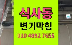 식사동 변기막힘 역류 고양이 두부모래 주의하세요