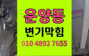 김포 운양동 변기막힘 밤샘 역류 부러진 솔