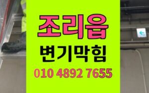파주 조리읍 변기막힘 1층 역류오수관 내부  탐색