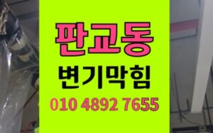 분당 판교동 변기막힘 우드 펠렛 역류 내시경