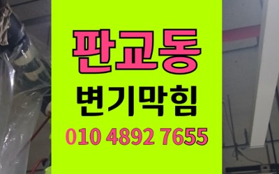 분당 판교동 변기막힘 우드 펠렛 역류 내시경
