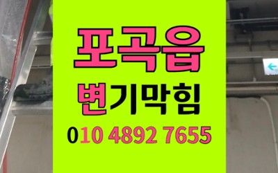 처인구 포곡읍 변기막힘 레고 조각 역류 배관내시경