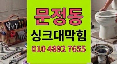문정동 하수구막힘 싱크대역류 어항 여과솜 그물망