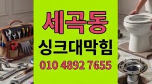 세곡동 하수구막힘 더덕 사포닌 덫 싱크대역류