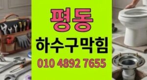평동 싱크대막힘 부러진 옷걸이 철사로 인한 하수구 심각한 역류 1시간 컷