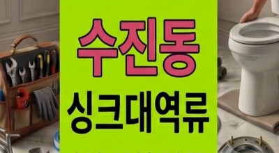 수진동 싱크대막힘 주상복합 세탁실 하수구 역류 5일 만의 눈물 탈출