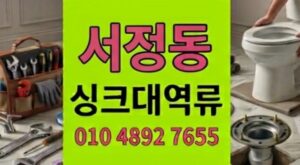 서정동 싱크대막힘 대체당크리스탈의습격 날카로운 하수구 역류 1시간진압