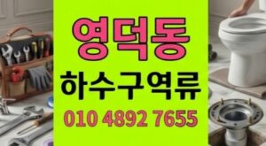 영덕동 싱크대막힘 식물 카페 마사토의 습격 하수구 역류 4시간구출