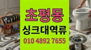 조평동 싱크대막힘 수백개 생선가시덫 하수구 역류 300만원방어