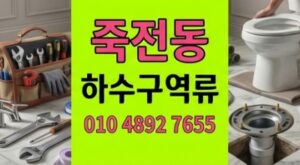 죽전동 싱크대막힘 사골젤리화로인한 야간 하수구 역류 관로 역학적구조 복원